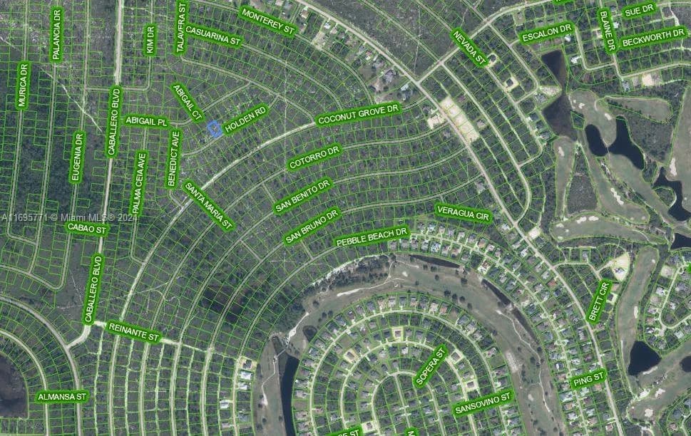 6552 Holden Road, Sebring FL 33872