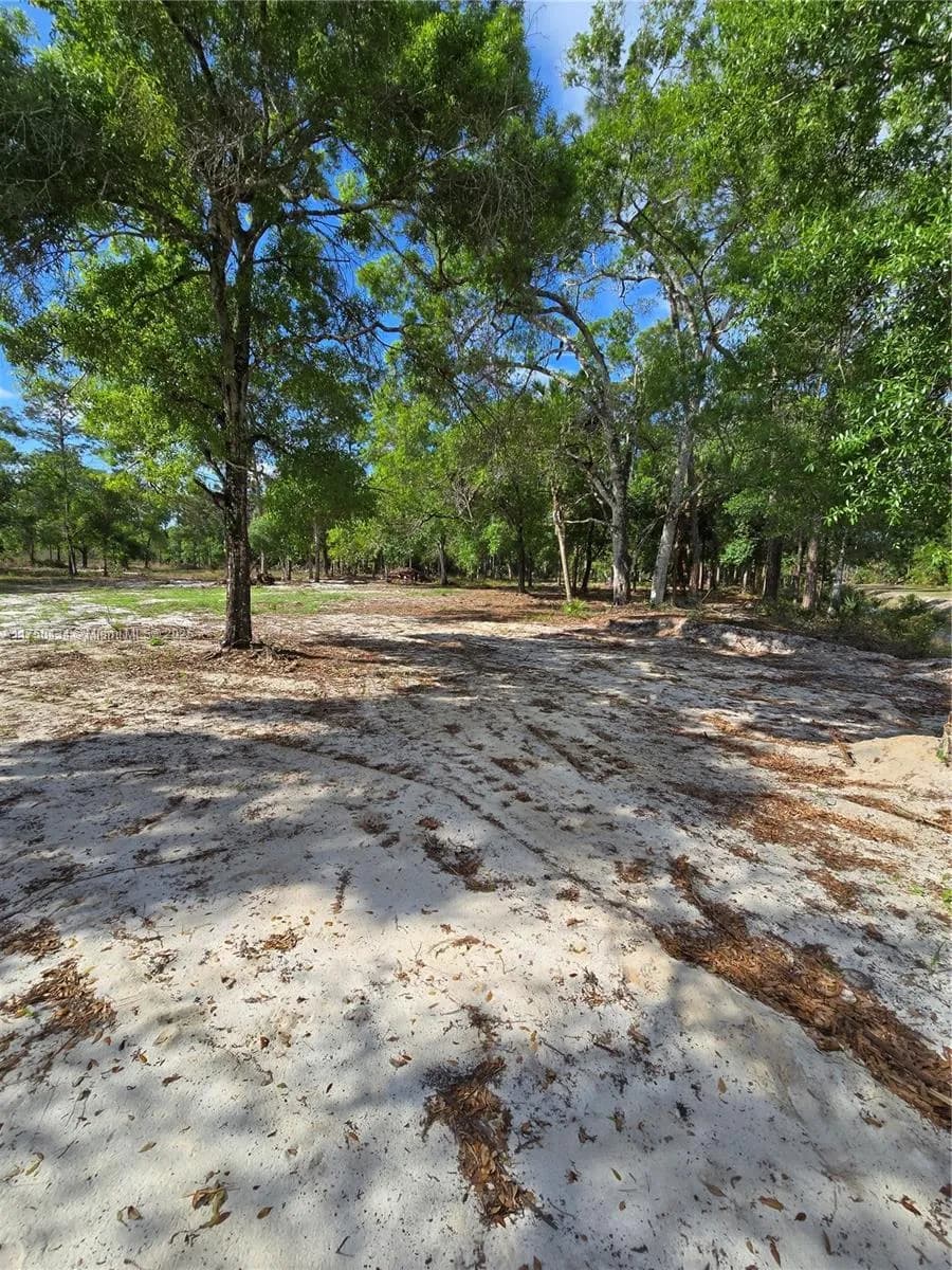 810 S Shetland, Clewiston FL 33440