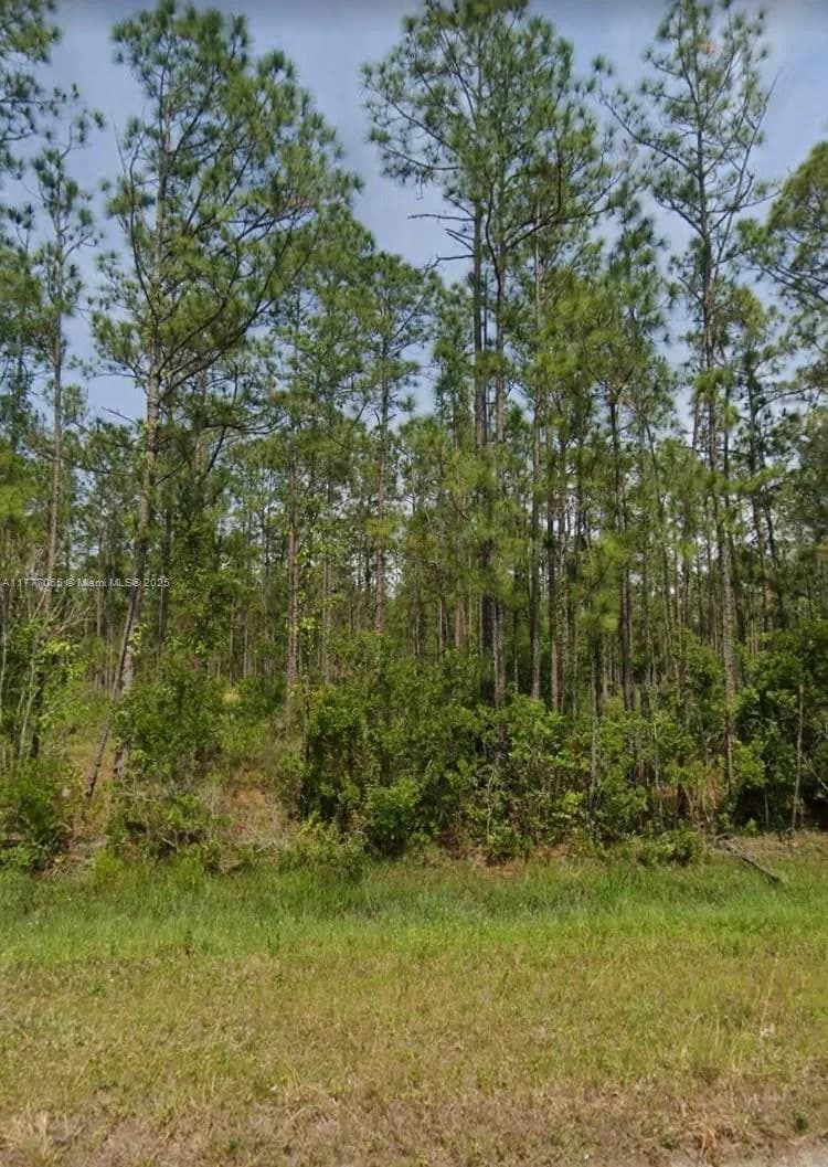 6420 SW Balboa Blvd., Sebring FL 33872