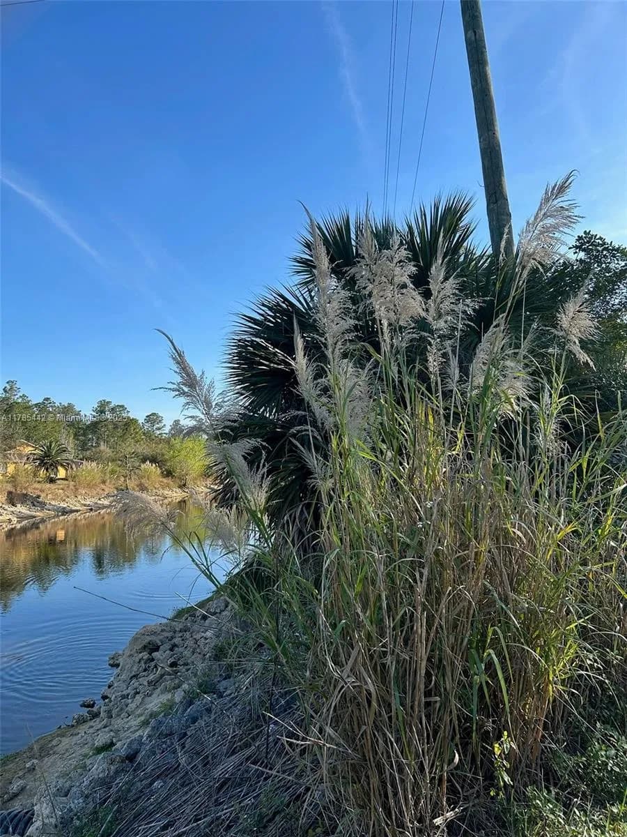 3892 6TH AVE NE, Naples FL 34120