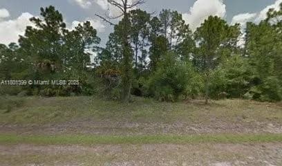 557 Avenida Del Sur, Clewiston FL 33440
