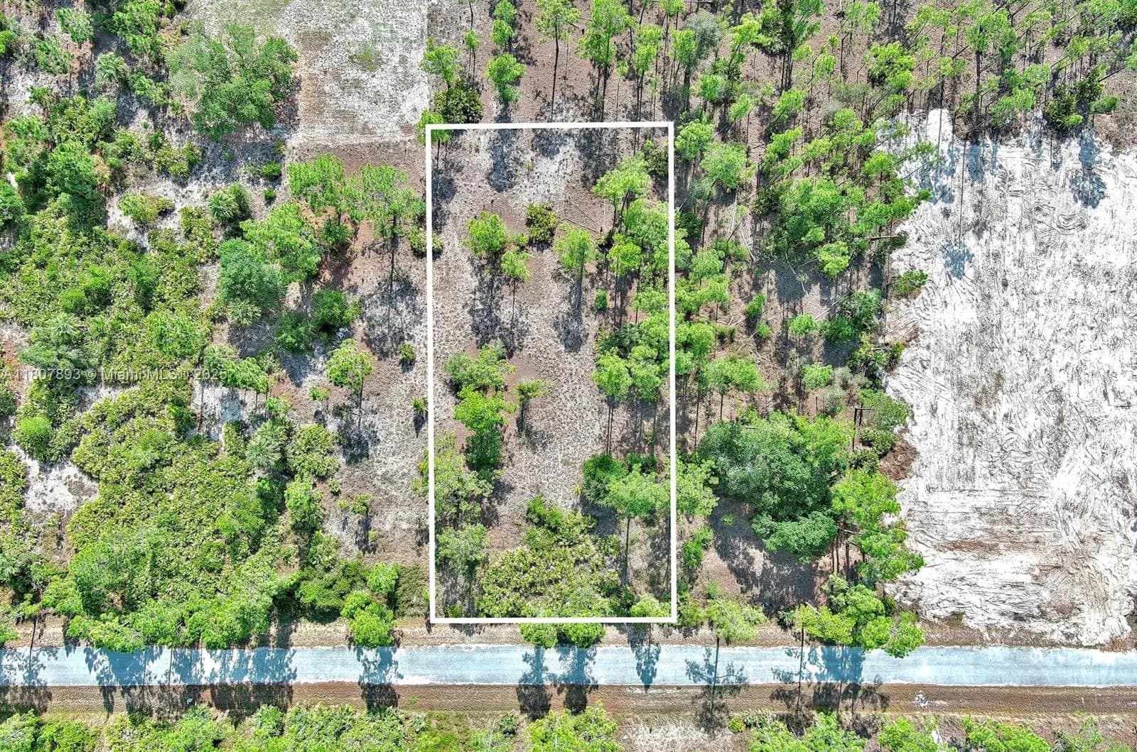 317 Fitch Ave, Lehigh Acres FL 33936