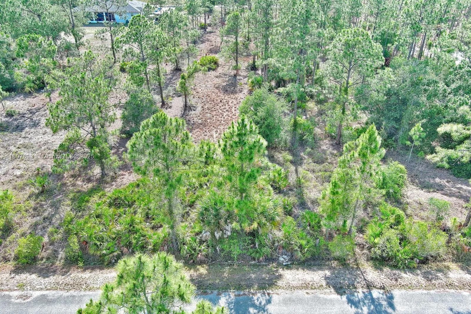 317 Fitch Ave, Lehigh Acres FL 33936