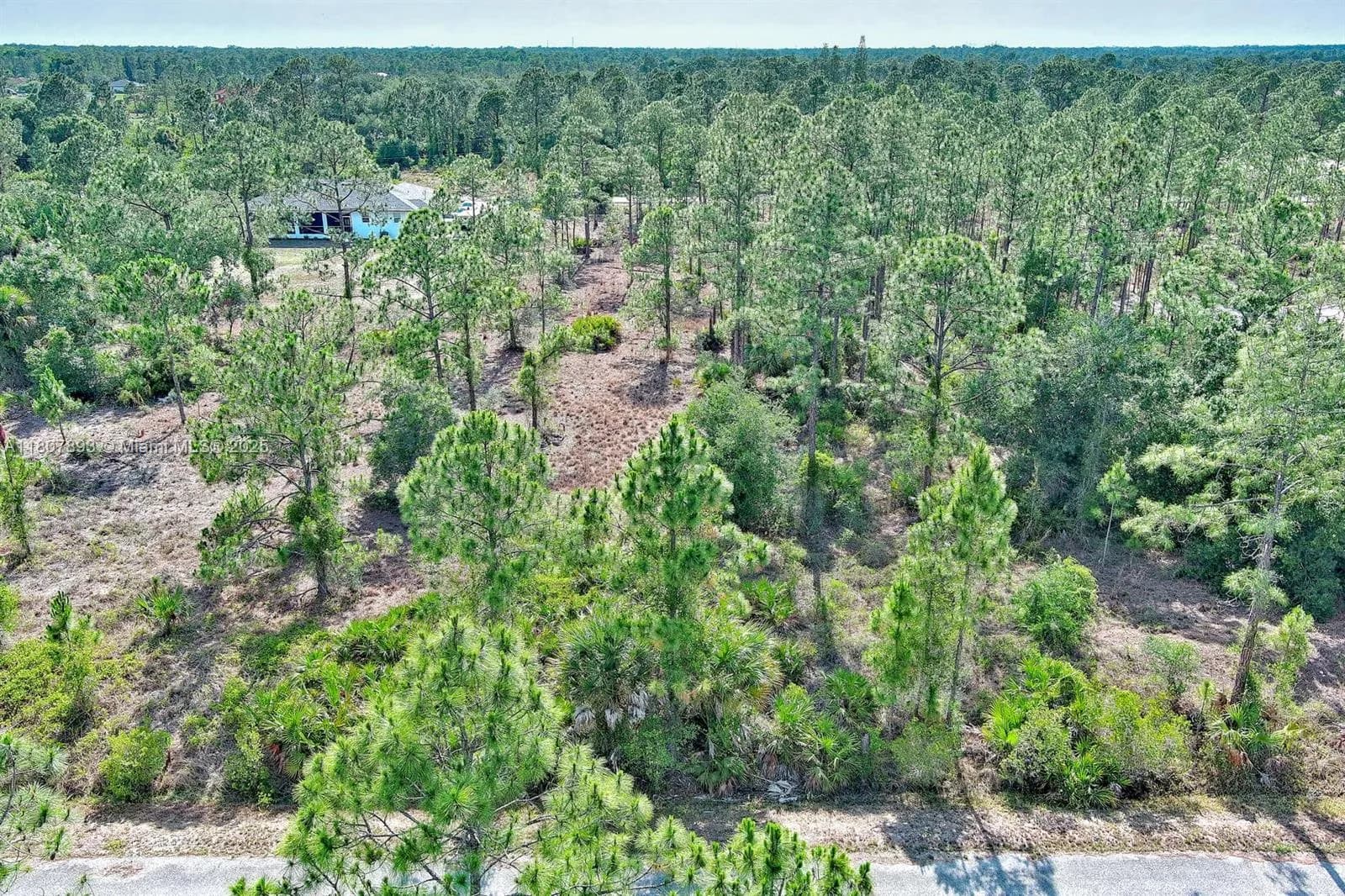 317 Fitch Ave, Lehigh Acres FL 33936