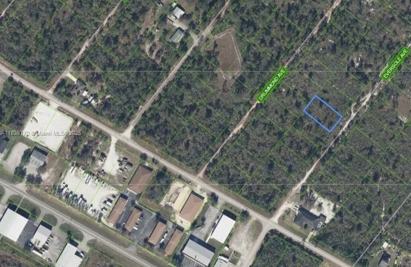 120 EVERSOLE AVE, Lake Placid FL 33862