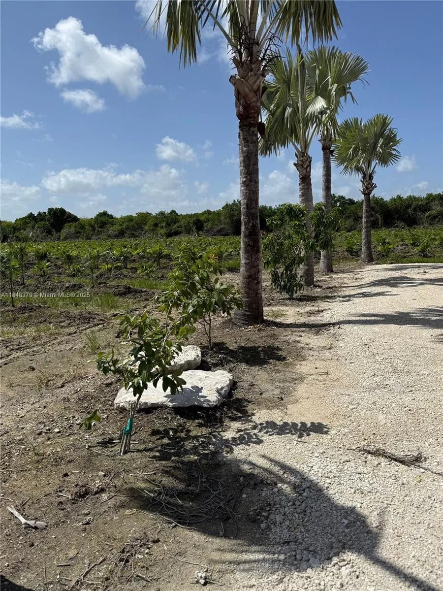 287XX SW 107 Ave, Homestead FL 33033