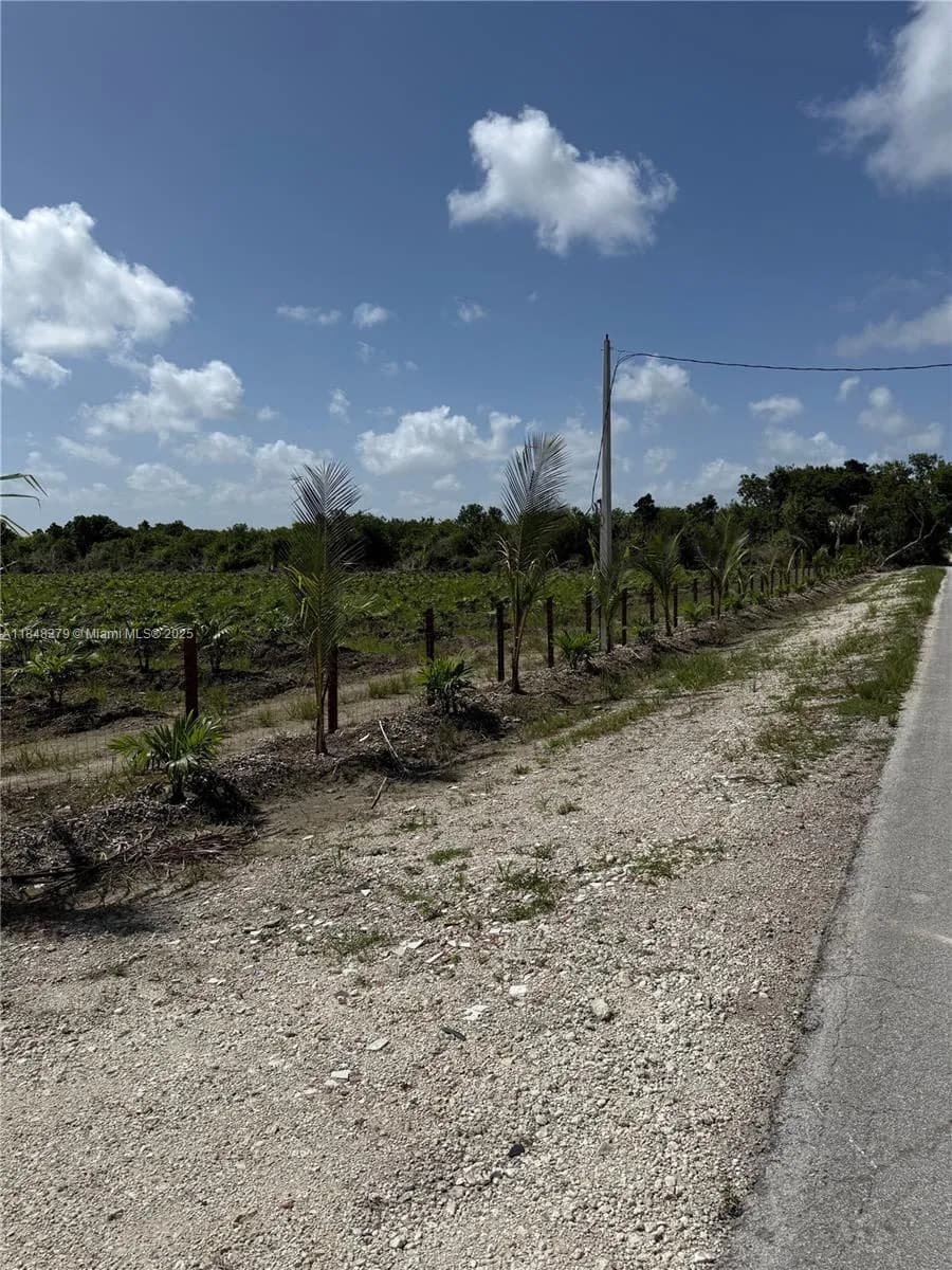 287XX SW 107 Ave, Homestead FL 33033