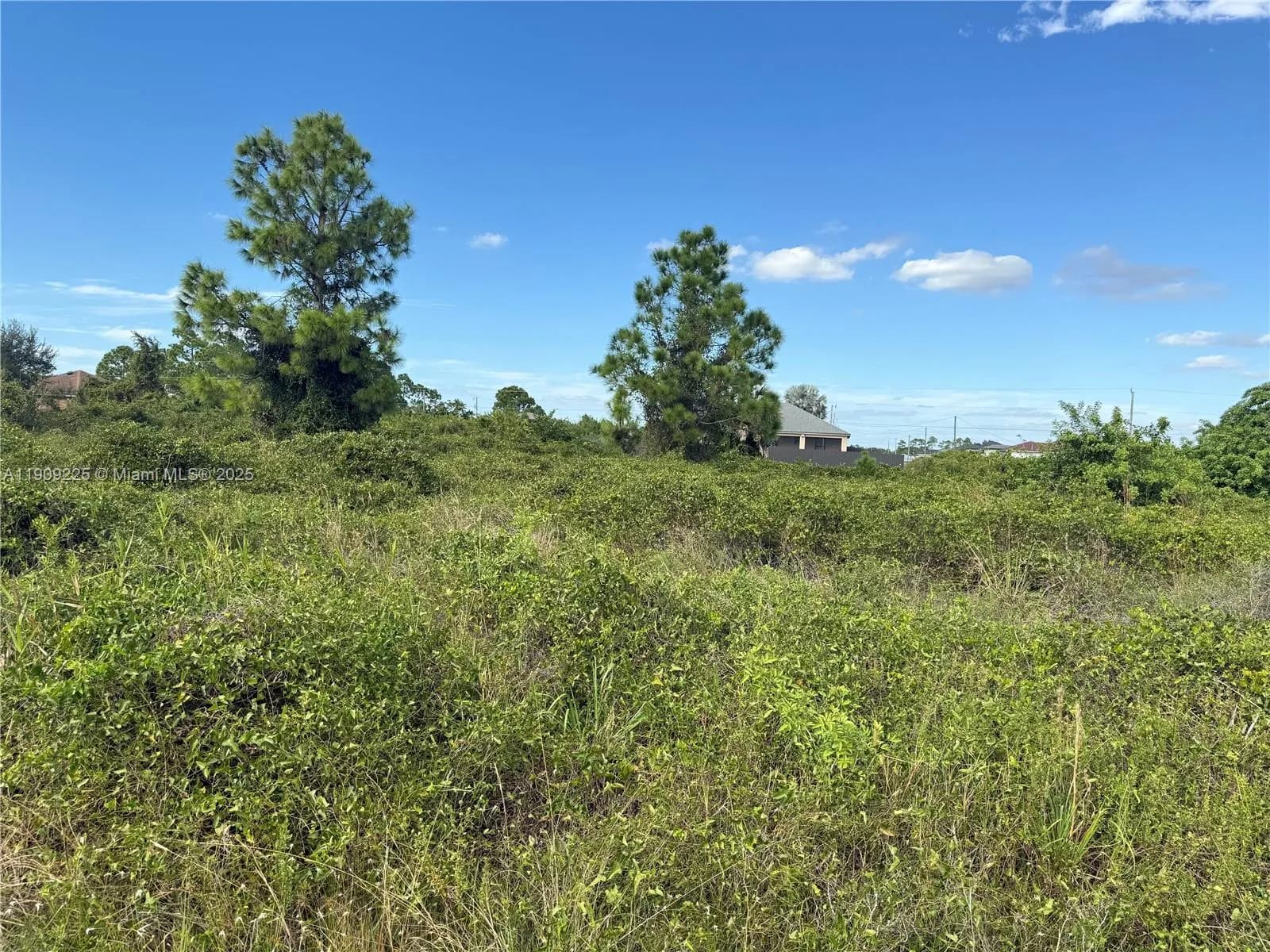 521 E TRINITY ST, Lehigh Acres FL 33974