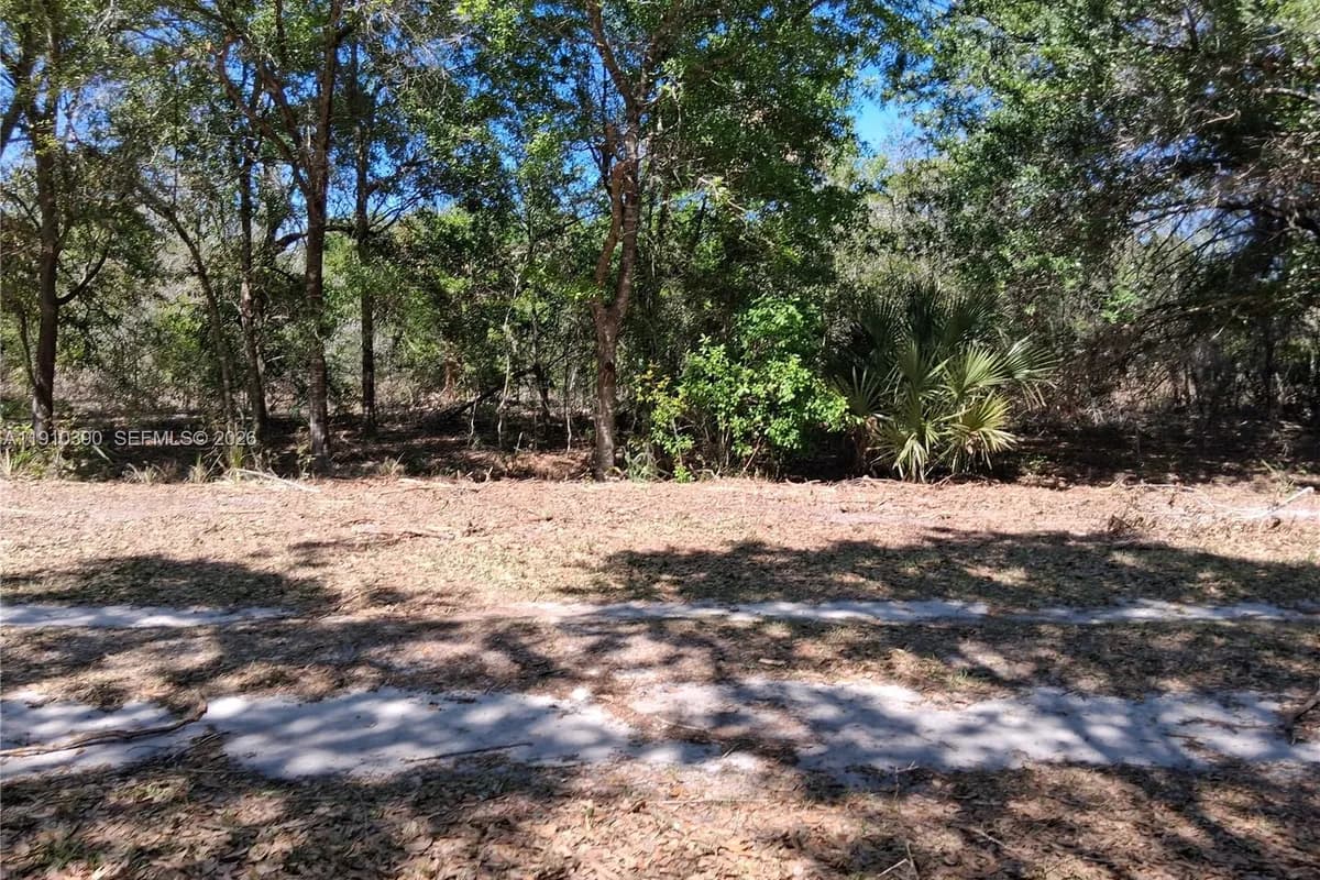 2822 W Yepremian Rd, Avon Park FL 33825