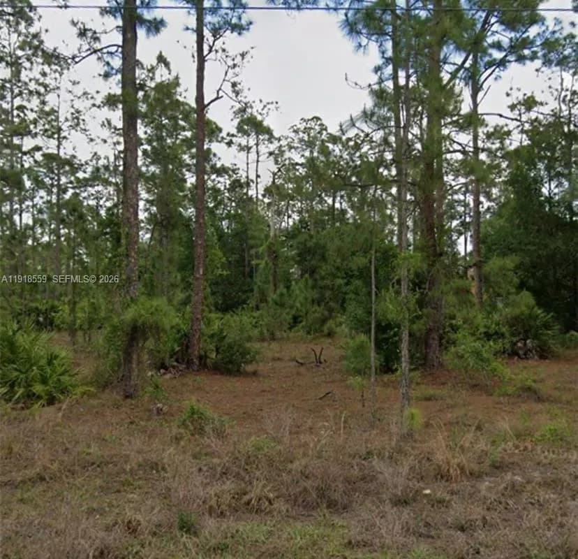 1004 scott ave, Lehigh Acres FL 33972