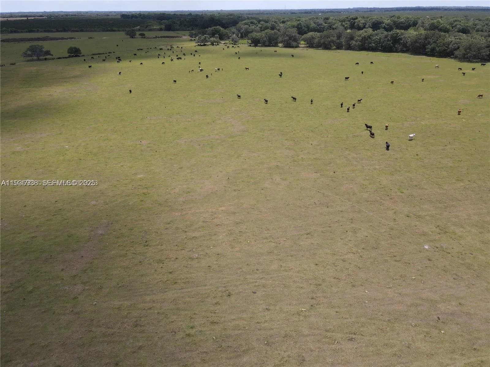 6918 SW Miami Ave, Other City - In The State Of Florida FL 34266