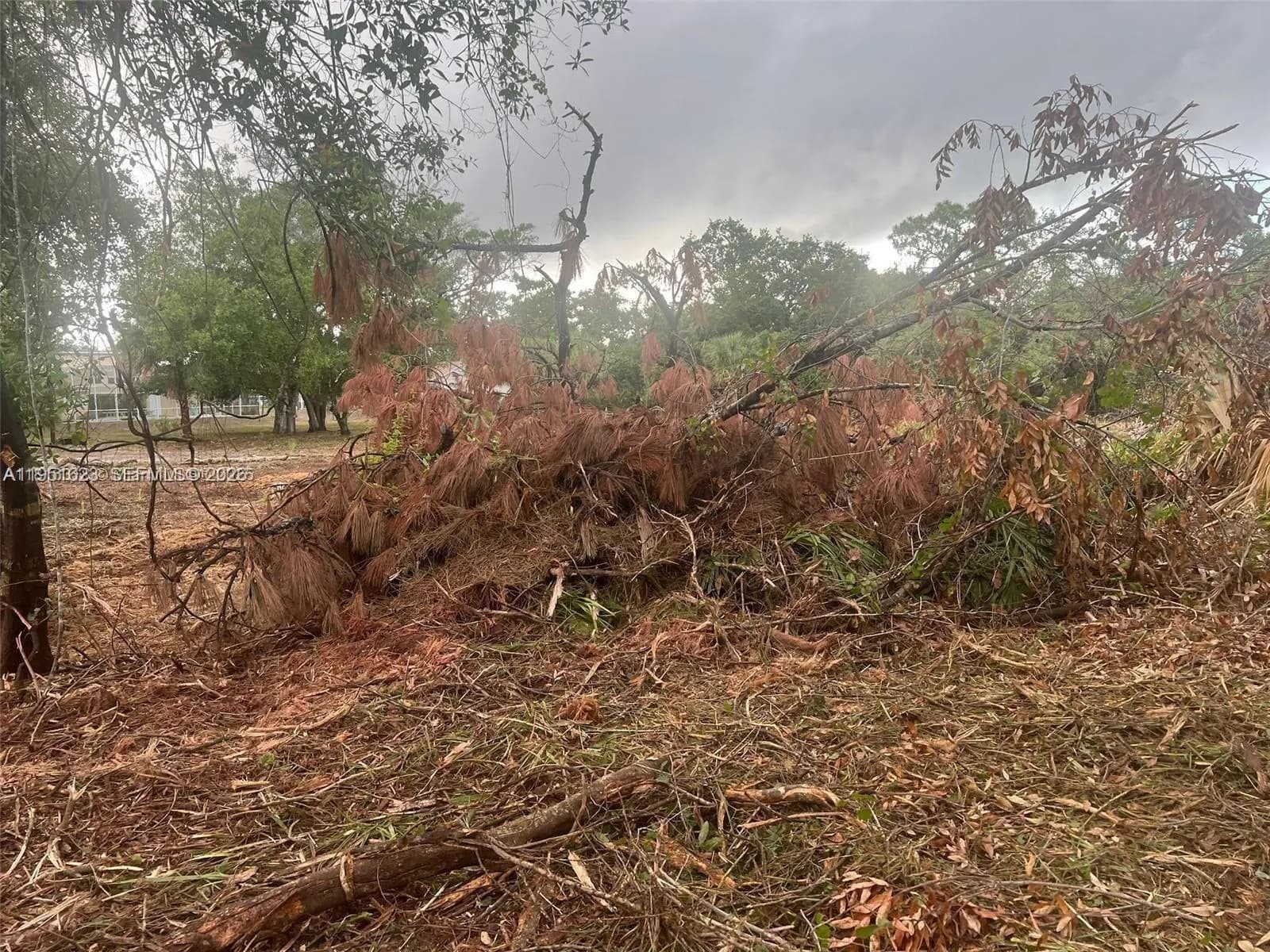 17 Rosevelt Ave, Lehigh Acres FL 33936