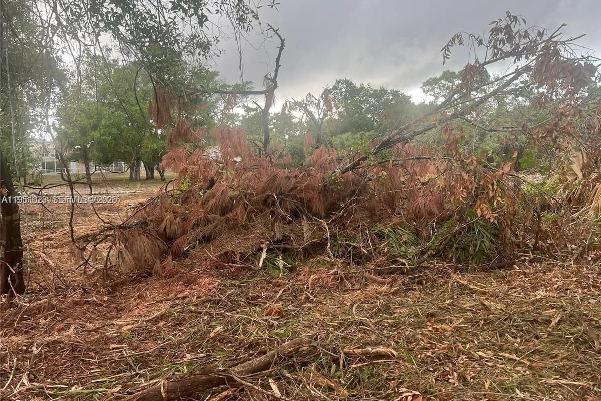 17 Rosevelt Ave, Lehigh Acres FL 33936