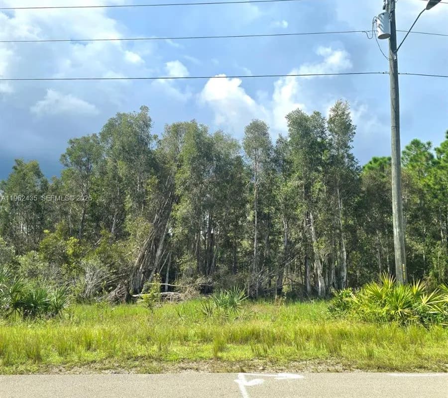 2650 MEADOW RD, Lehigh Acres FL 33974