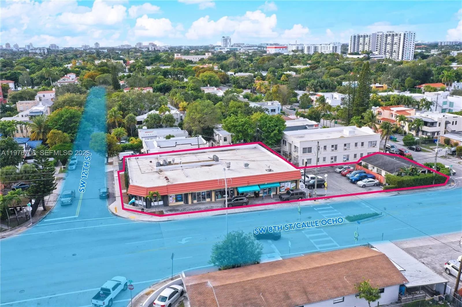 1166 SW 17th Ave, Miami FL 33135