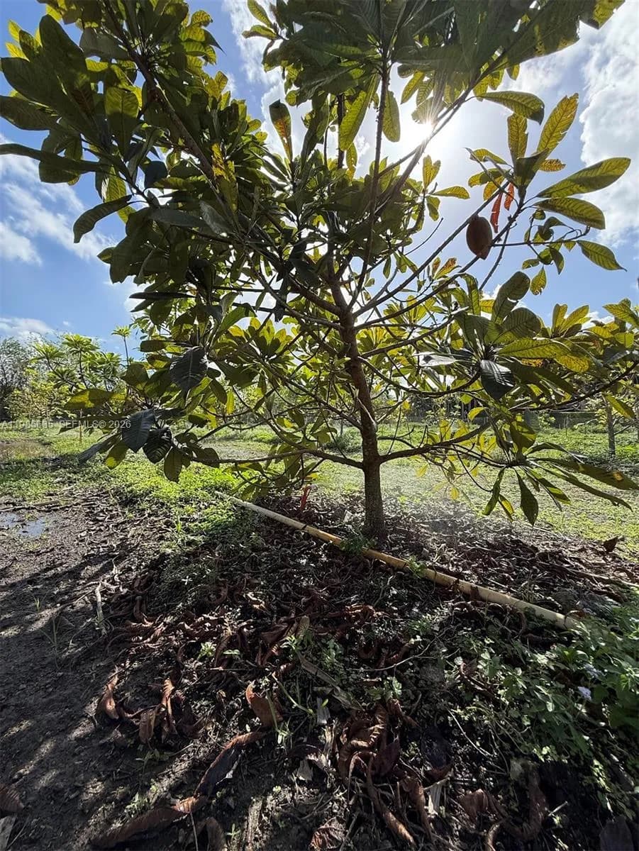 16455 SW 207, Homestead FL 33187