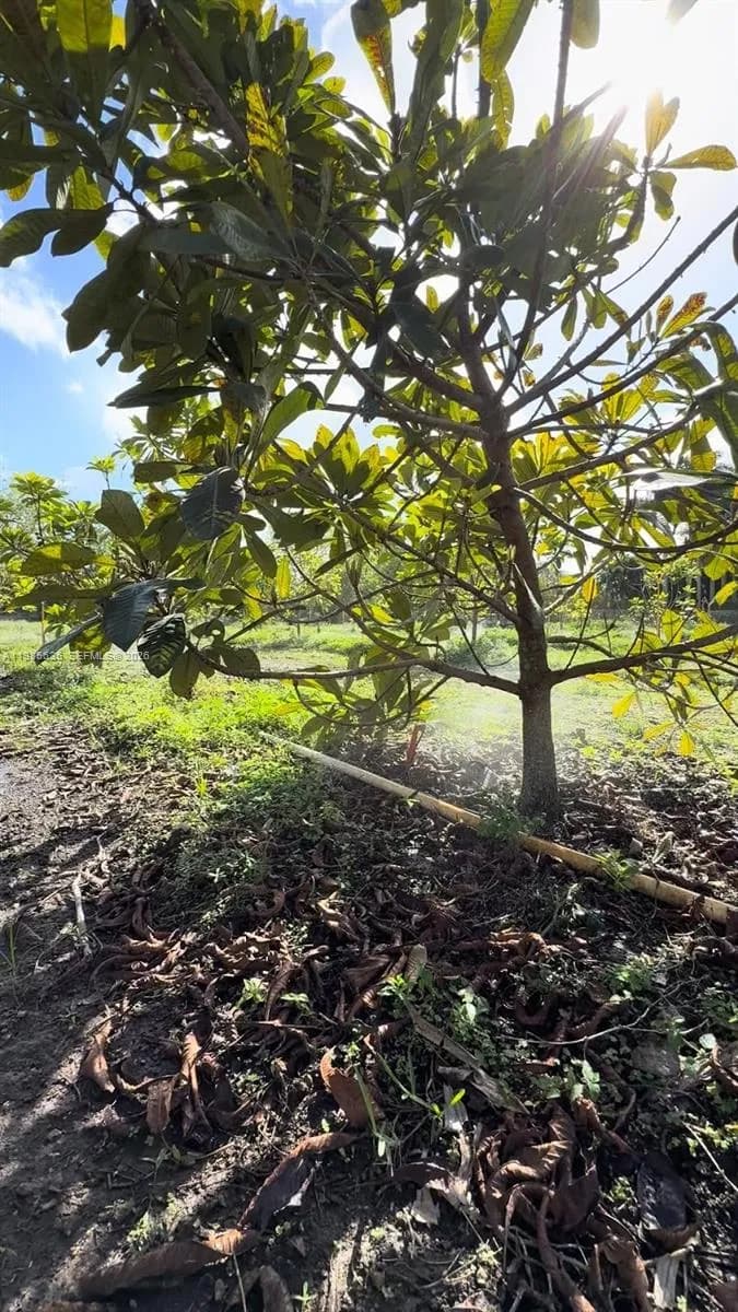 16455 SW 207, Homestead FL 33187