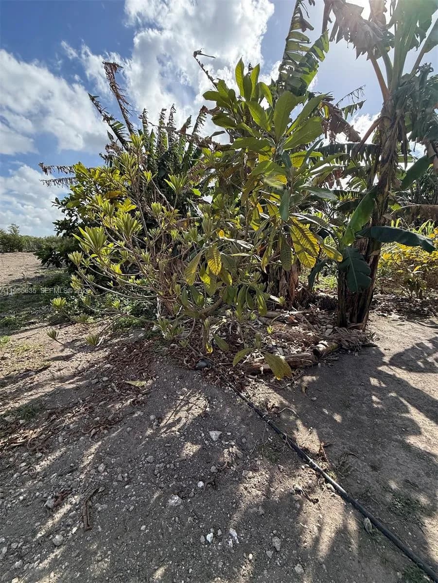 16455 SW 207, Homestead FL 33187