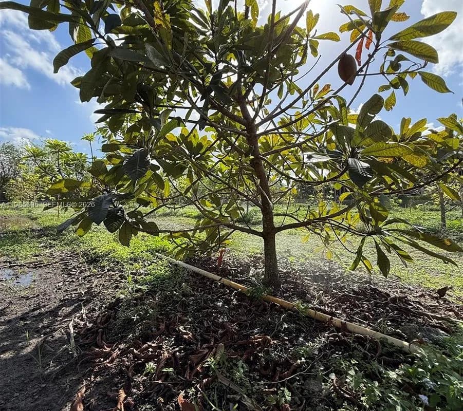 16455 SW 207, Homestead FL 33187