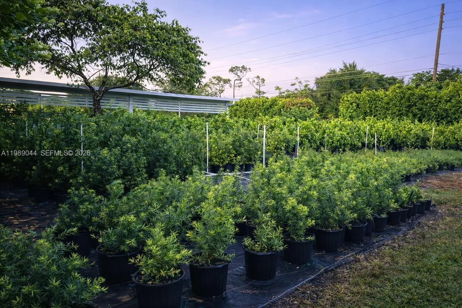 28000 SW 157th Ave, Homestead FL 33033