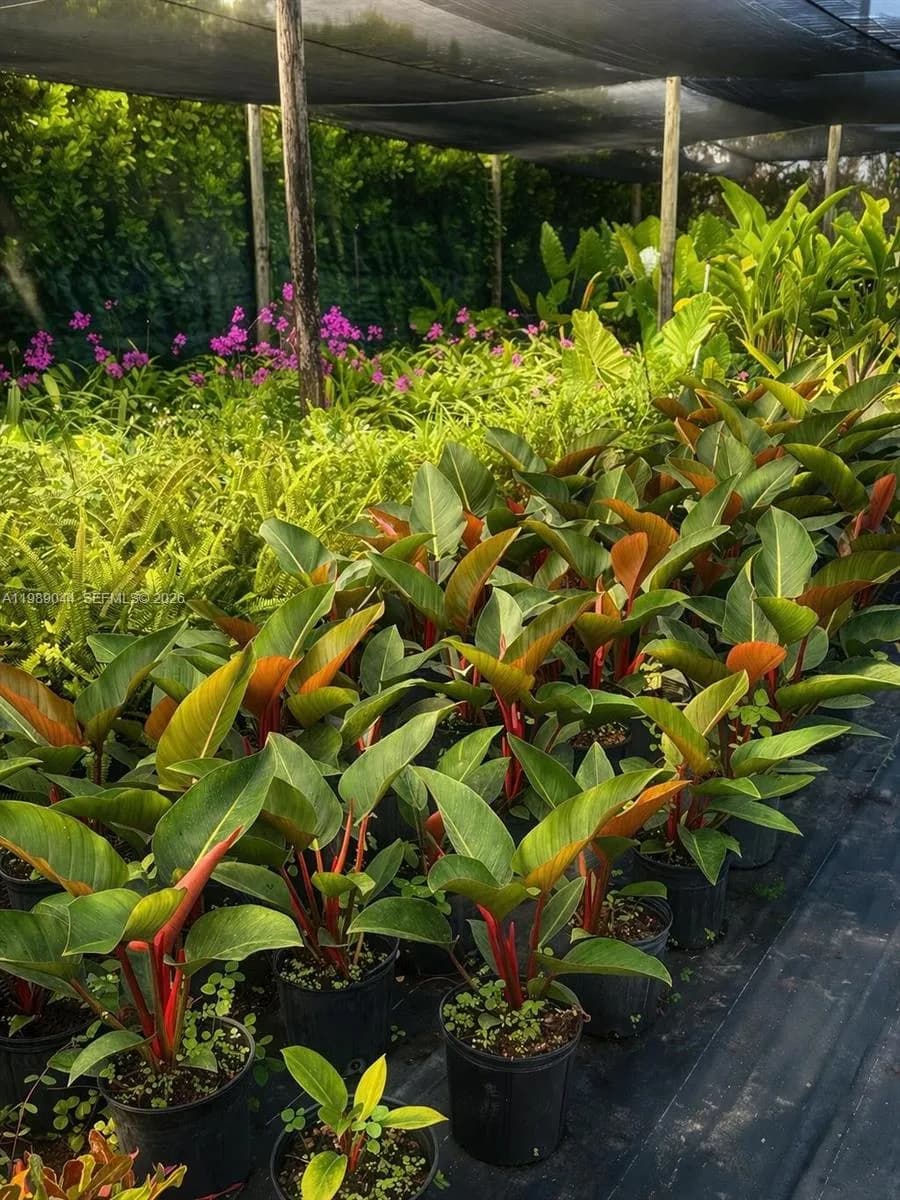 28000 SW 157th Ave, Homestead FL 33033