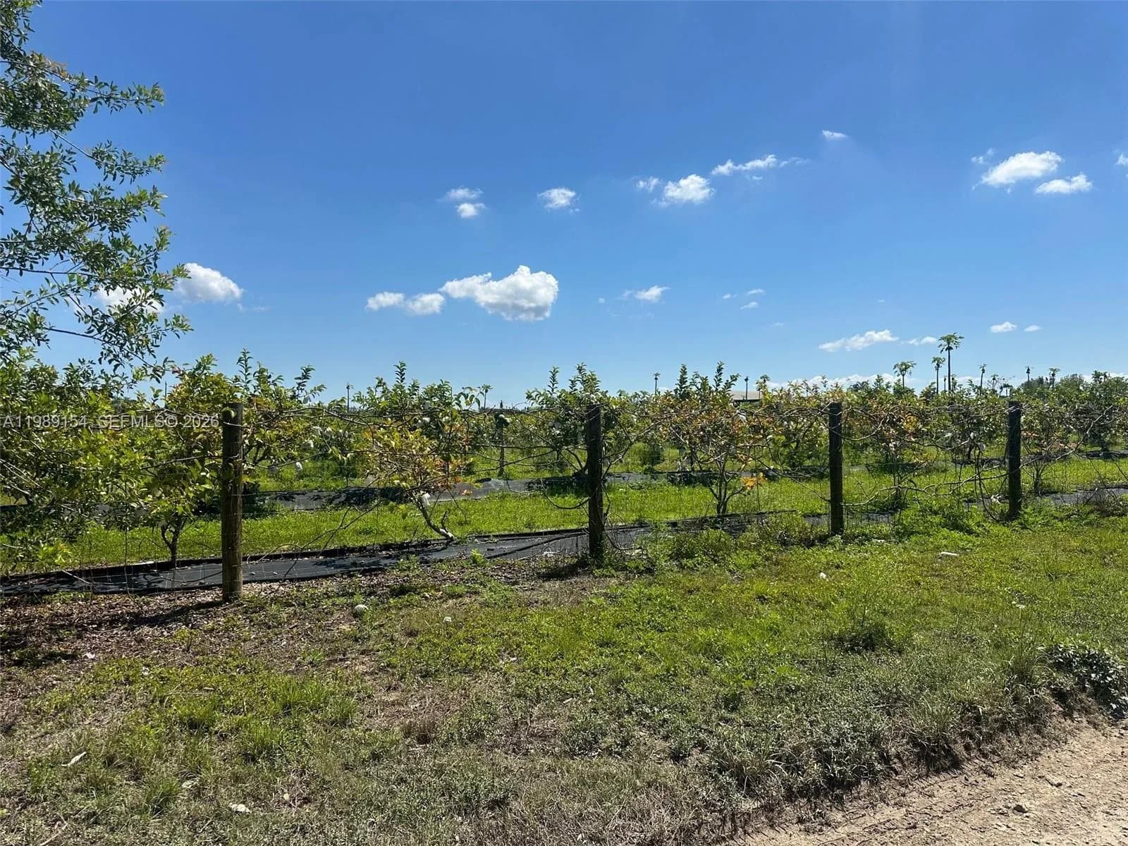 212XX SW 360 ST, Homestead FL 33034