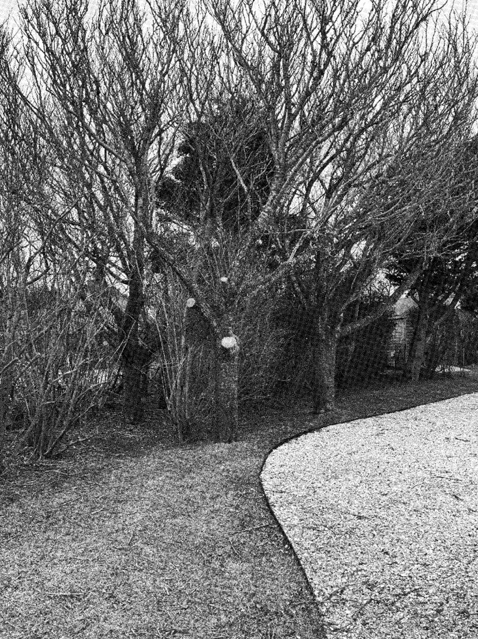 Nantucket Homeowner Accused of Chopping Down Neighbor’s Trees Sells Property for $2.1 Million Below Asking