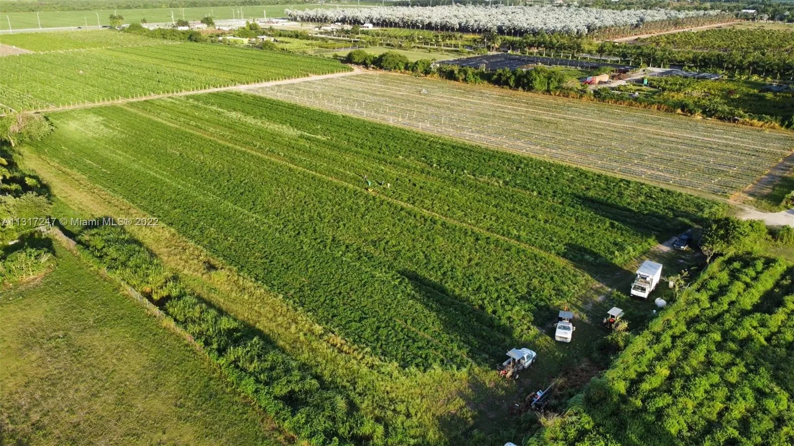 176xx sw 182 ave, Homestead FL 33187