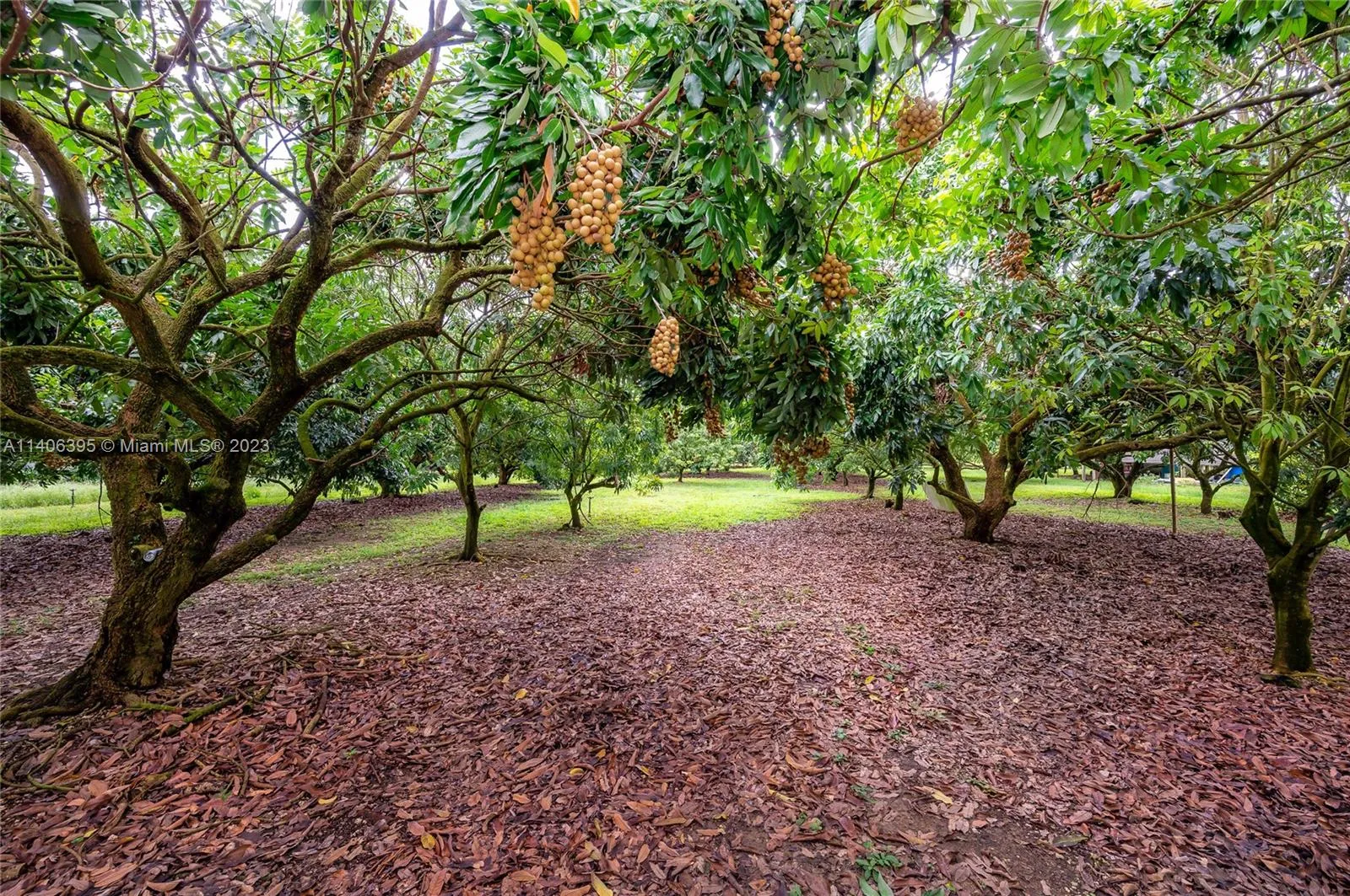 for sale at 24350 SW 182nd Ave, Miami FL 33031