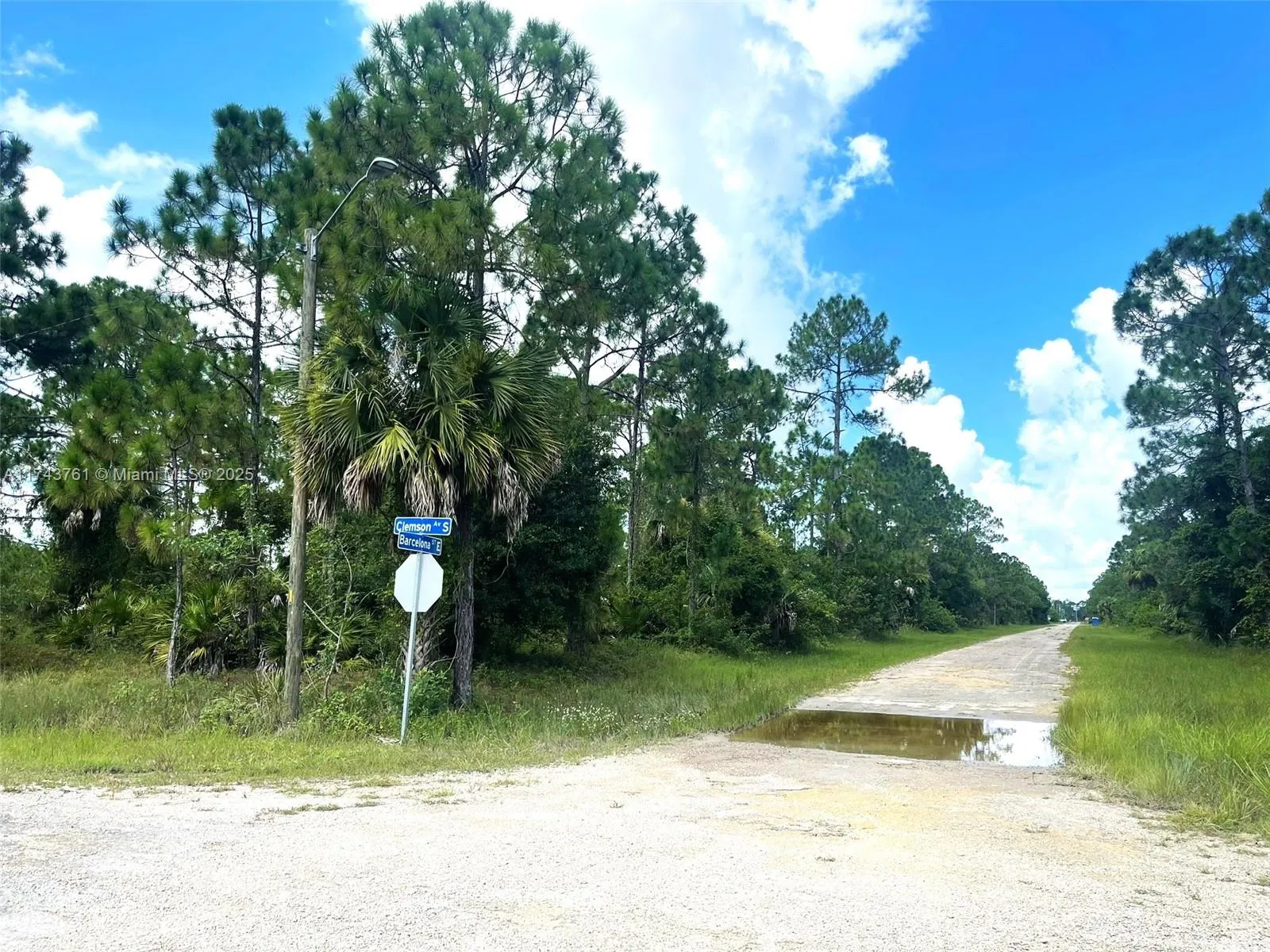 1026 Barcelona Street E., Lehigh Acres FL 33974