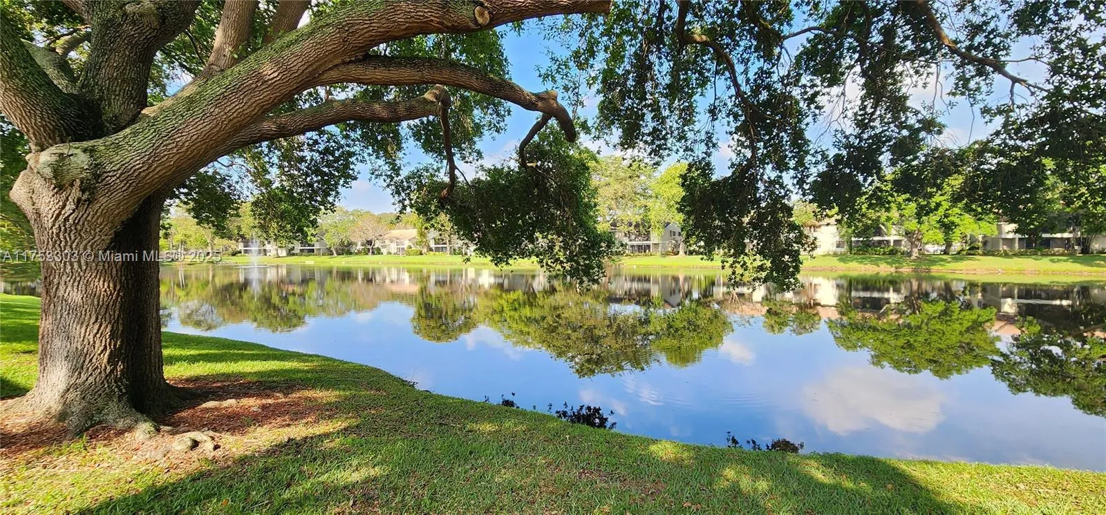 111 Gardens Dr # 203, Pompano Beach FL 33069