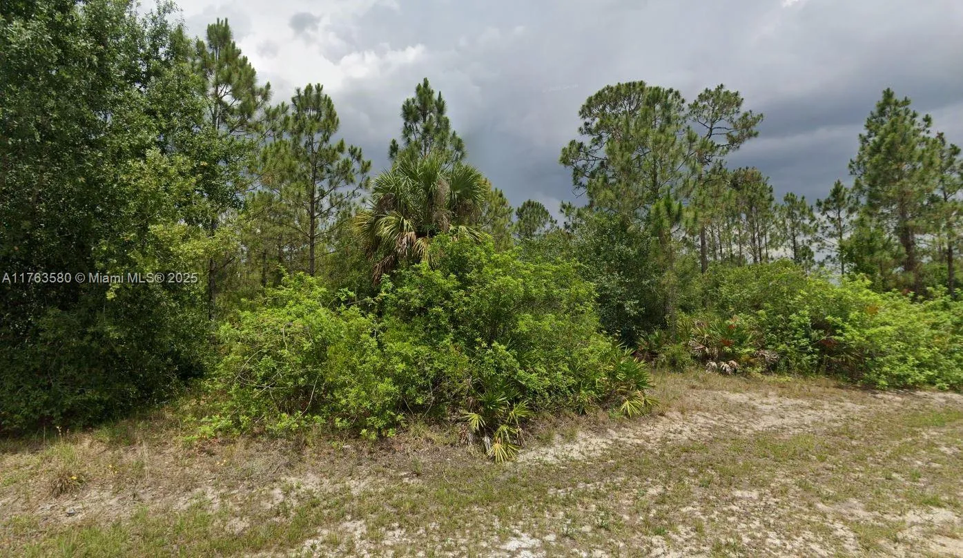 1408 Plumosa Ave, Lehigh Acres FL 33972