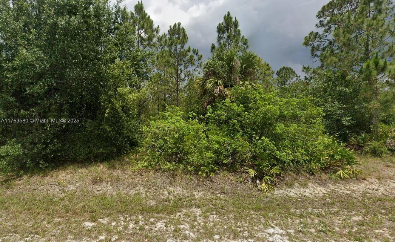 1408 Plumosa Ave, Lehigh Acres FL 33972