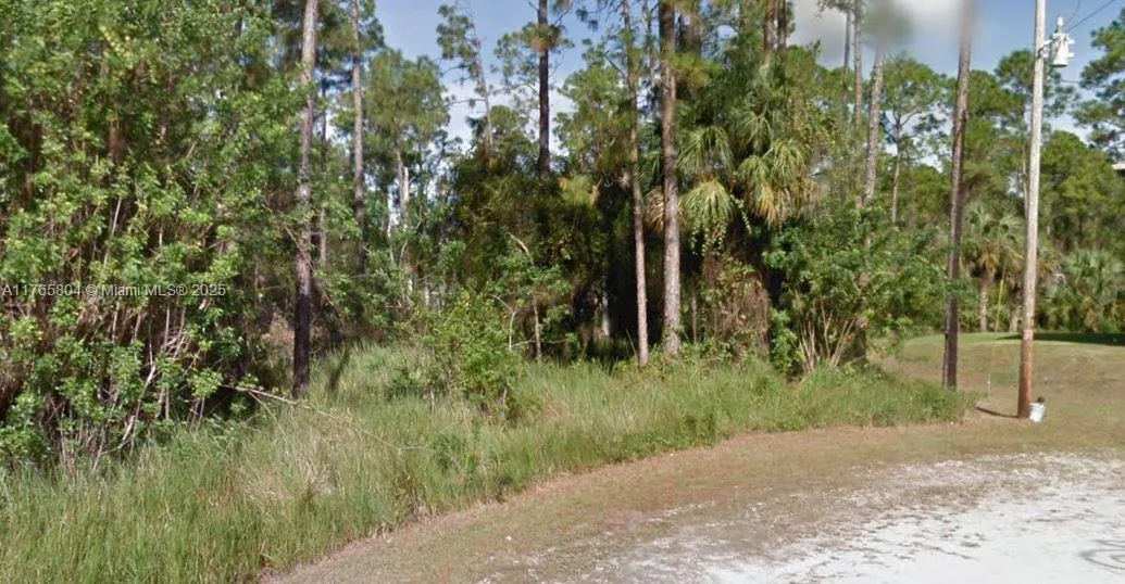 103 Nectar Ct, Lehigh Acres FL 33974