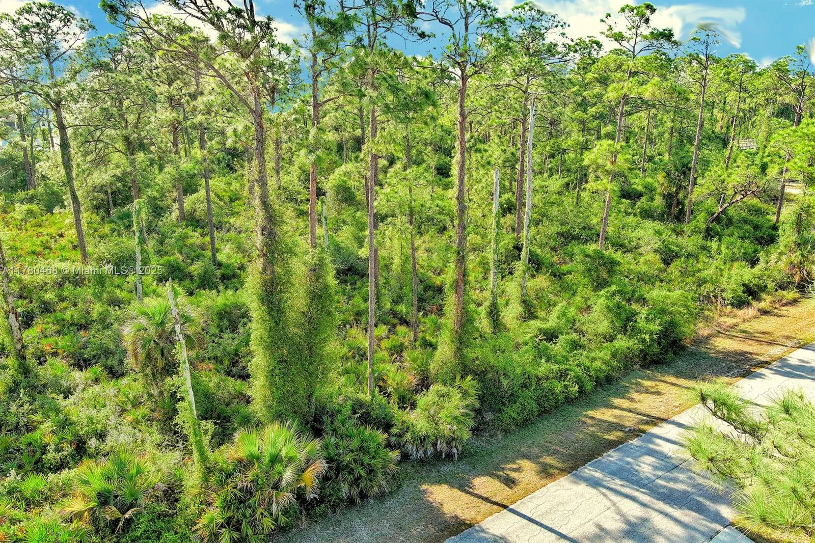 2019 COLUMBUS AVE, Lehigh Acres FL 33920