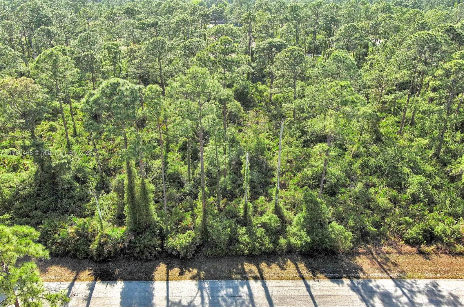 2019 COLUMBUS AVE, Lehigh Acres FL 33920