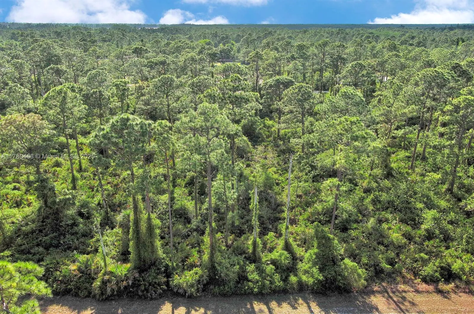 2019 COLUMBUS AVE, Lehigh Acres FL 33920