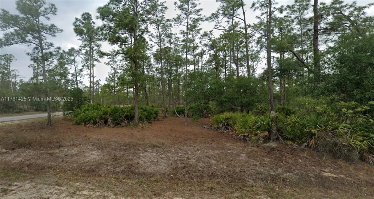 1301 James Avenue, Lehigh Acres FL 33972