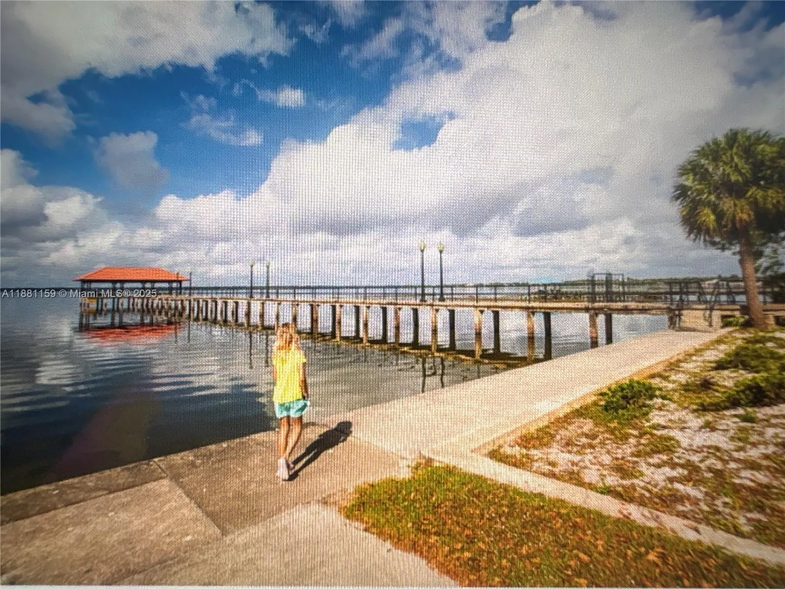 1846 Nolana Avenue, Sebring FL 33875