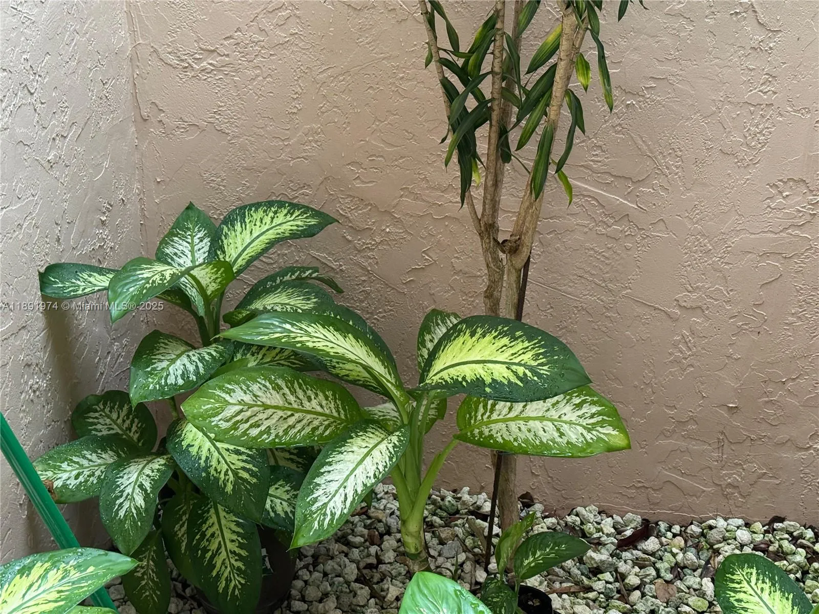 8204 Summerbreeze Ln, Boca Raton FL 33496