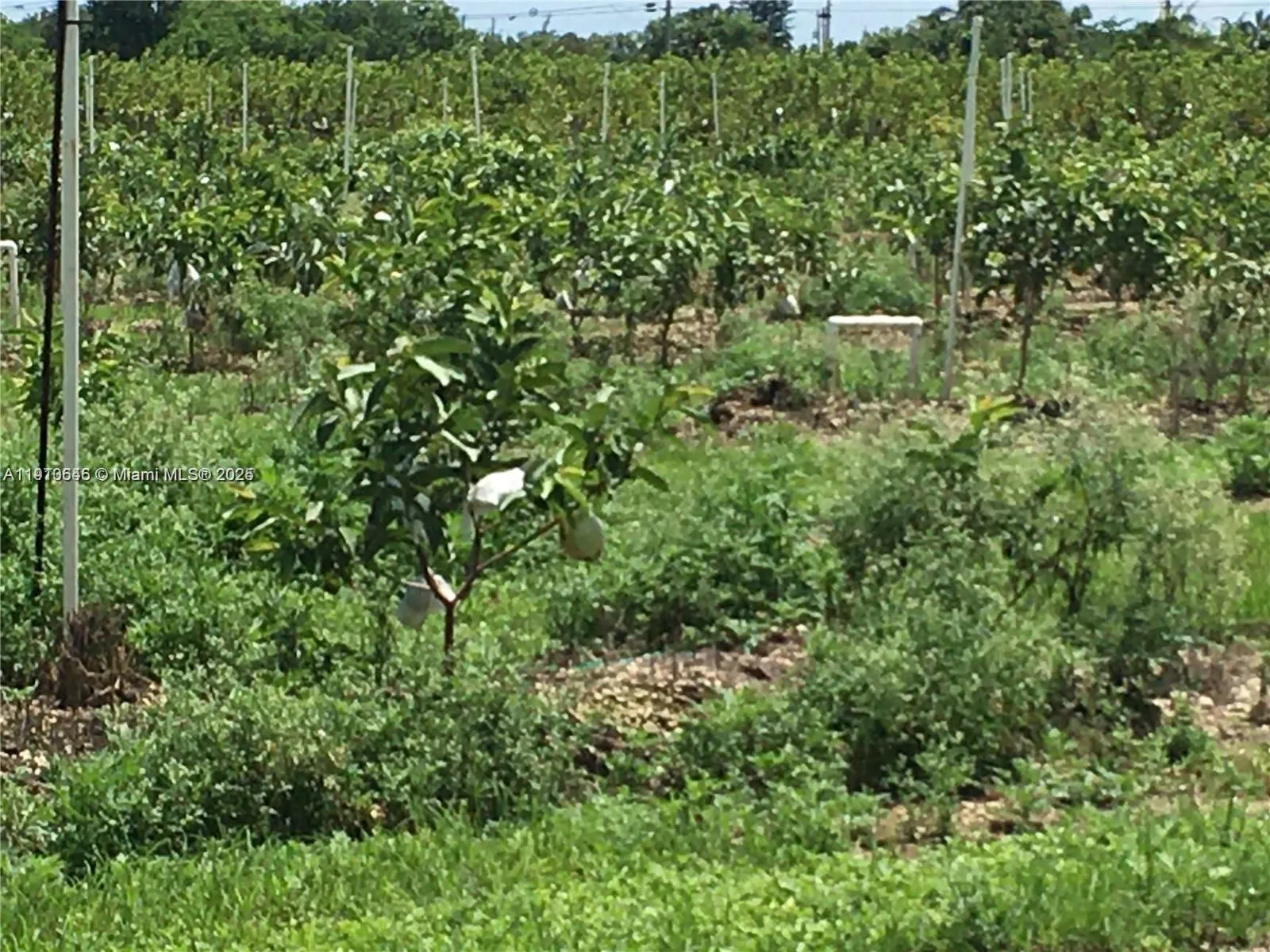 15000 SW 256 ST., Homestead FL 33032