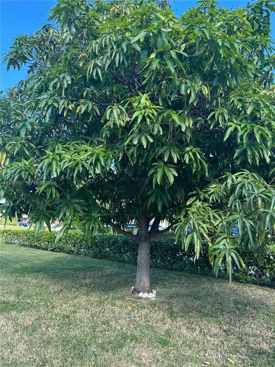 1611 NE 50th Ct, Fort Lauderdale FL 33334