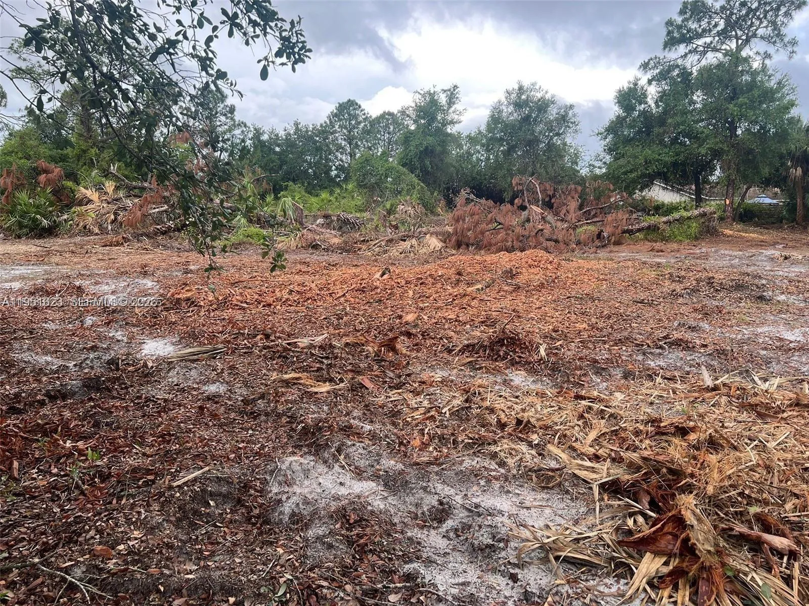 17 Rosevelt Ave, Lehigh Acres FL 33936