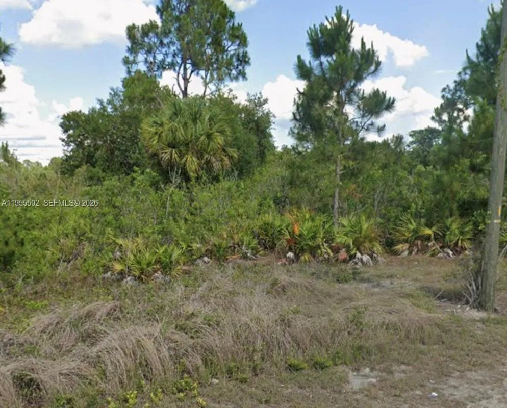 169 Thornton Ave S, Lehigh Acres FL 33974