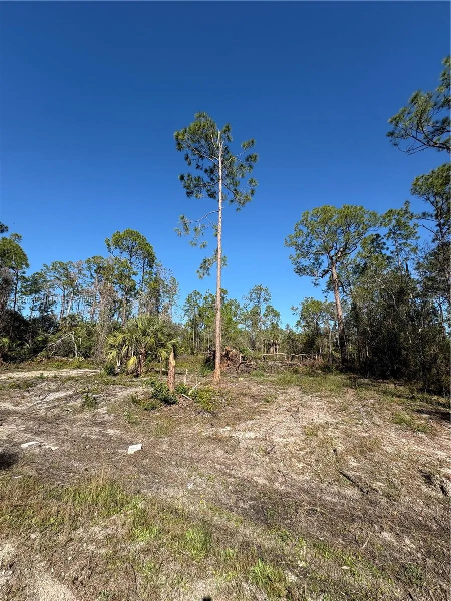 230 Ocean Park DR, Lehigh Acres FL 33972