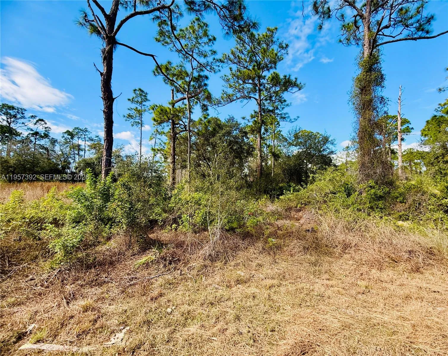 2007 Truman Ave, Other City - In The State Of Florida FL 33920