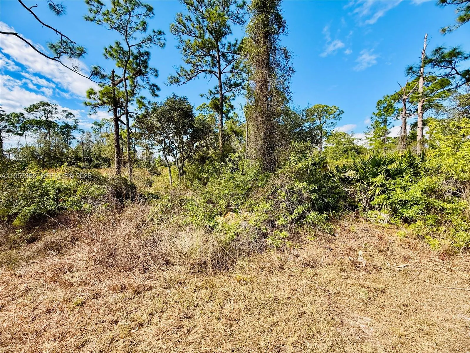 2007 Truman Ave, Other City - In The State Of Florida FL 33920