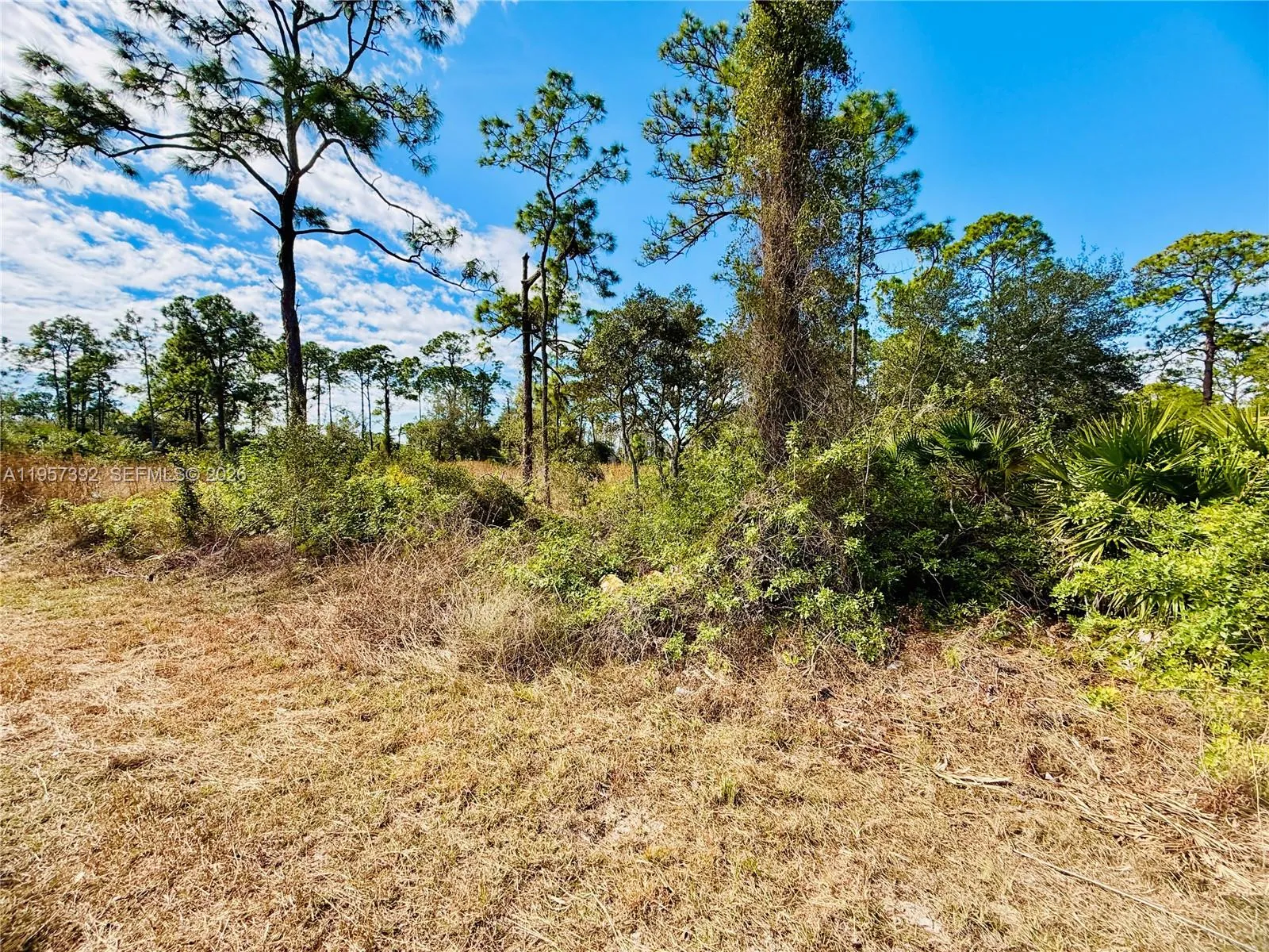 2007 Truman Ave, Other City - In The State Of Florida FL 33920