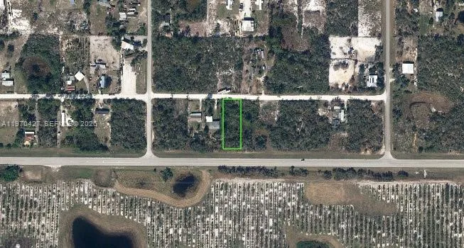 for sale at 141 Flagler ST, Lake Placid FL 33852