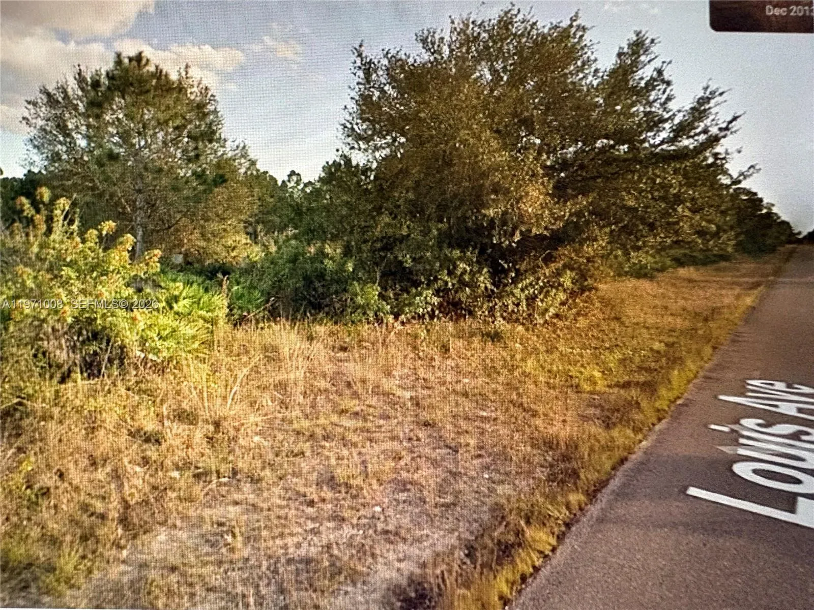 1320 Louis Ave, Lehigh Acres FL 33972